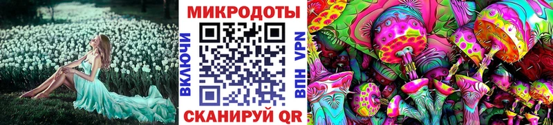 Галлюциногенные грибы мухоморы  Когалым 