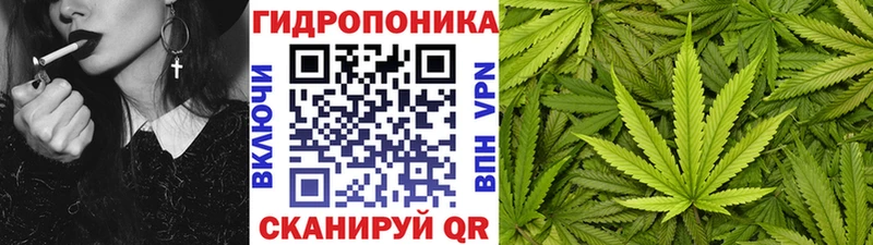 MEGA как войти Когалым Канабис THC 21%